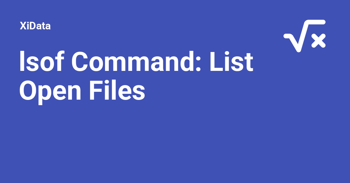lsof Command: List Open Files - XiData